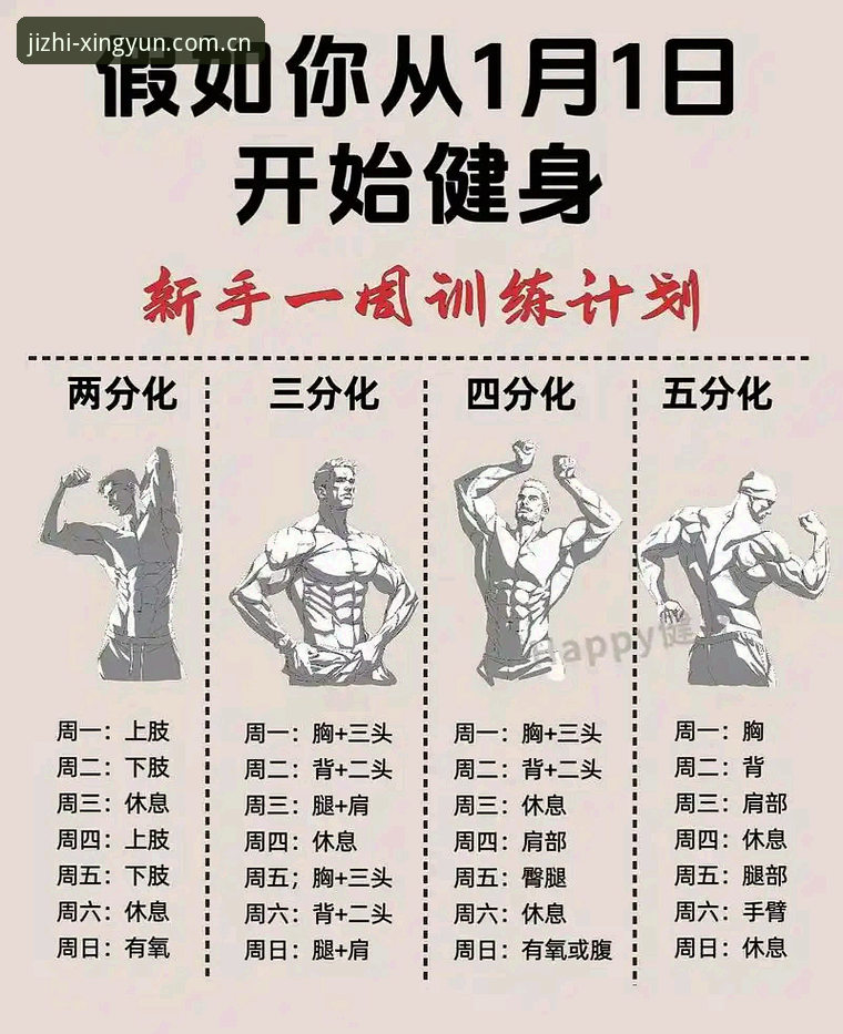 杏运体育手机版 杏运体育手机版实用指南:从入门到精通的必备知识